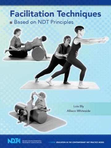 Cover of Facilitation Techniques